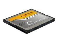 DELOCK Industrial Compact Flash card 1GB
